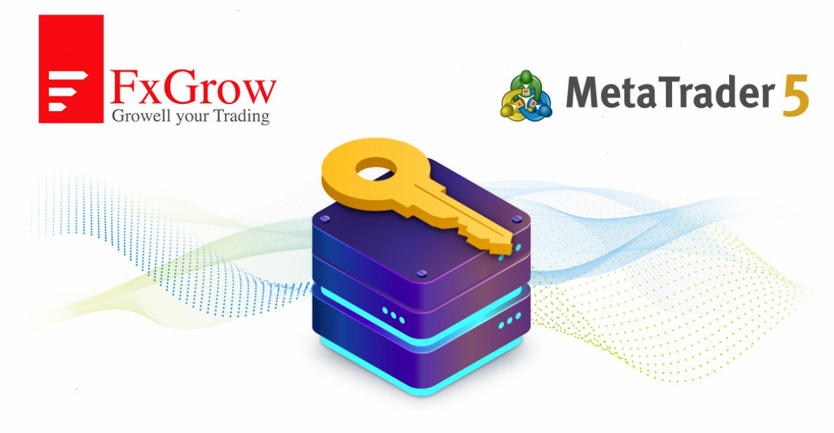 FxGrow Limited: “MetaTrader 5访问服务器主机服务拥有其他提供商无法比拟的优势”